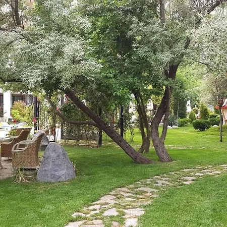 Harmony Grand Private 15-1 Slantschew brjag